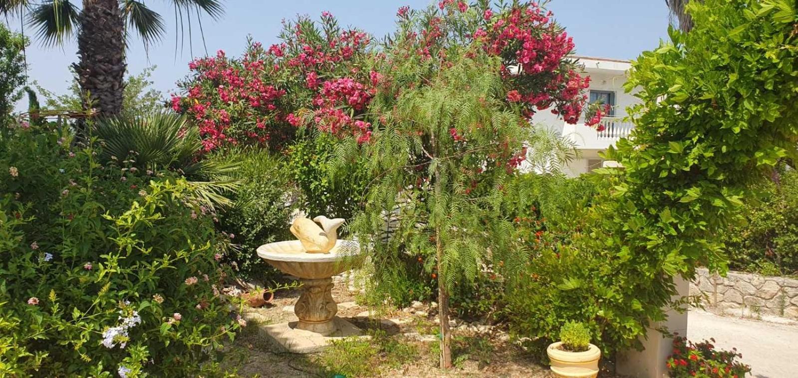 Athina Appartement Laganas